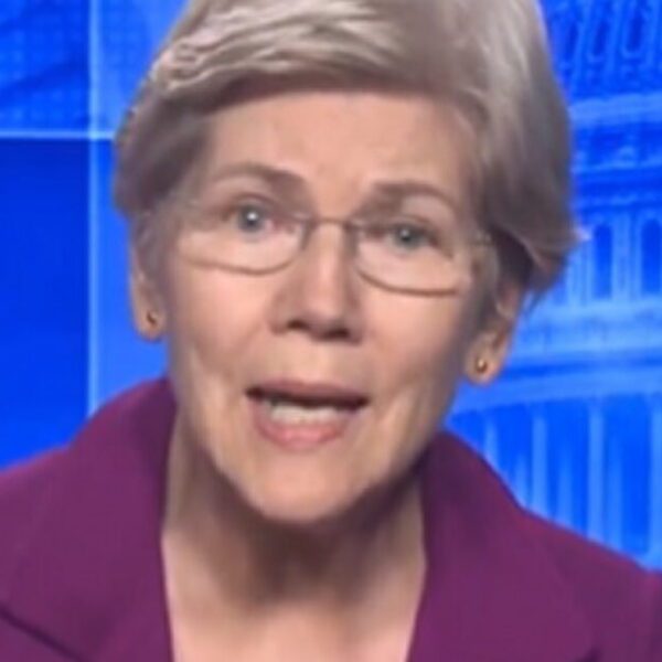 Sen. Elizabeth Warren Backs Zohran Mamdani’s Proposal For State-Owned Grocery Stores (VIDEO)…