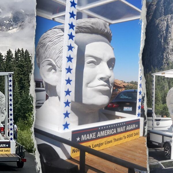 Giant Elon Musk head excursions nationwide parks with ‘Make America Wait Again’…