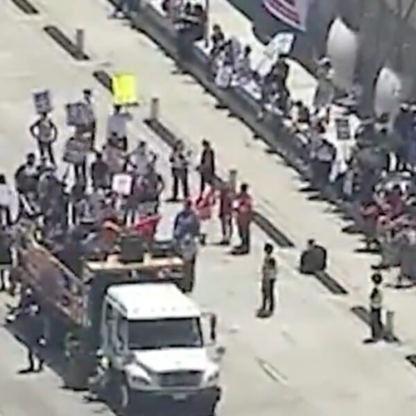 Anti-ICE Rioters Shut Down Bridge in Downtown Los Angeles (VIDEO) | The…
