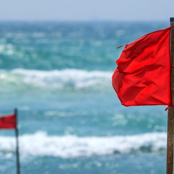 Wall Street’s view of a ‘Kevlar financial system’ has simply been shattered,…