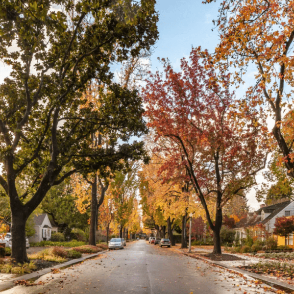 The hidden price of residing amid Mark Zuckerberg’s $110M compound