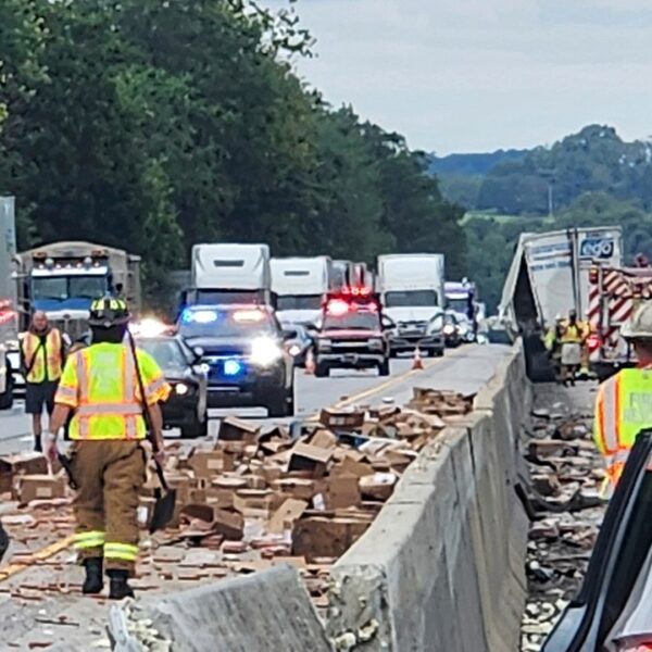 Hot canine spill throughout Pennsylvania freeway after truck crash causes site visitors…