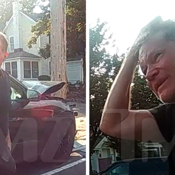 ‘Nip/Tuck’ Star Dylan Walsh Seen on Shocking Police Video After Major Car…