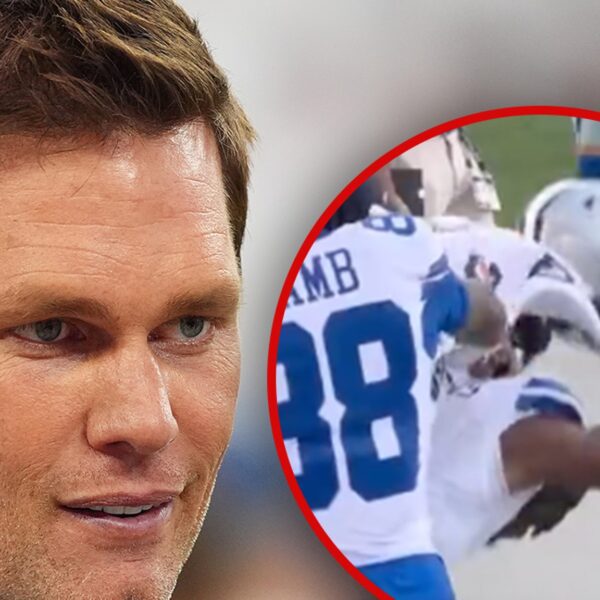 Tom Brady’s ‘Kick The Dog’ Comment Sparks Backlash