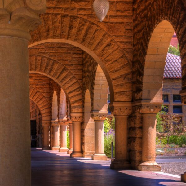 VCs are nonetheless hiring MBAs, however companies are beginning to want different…