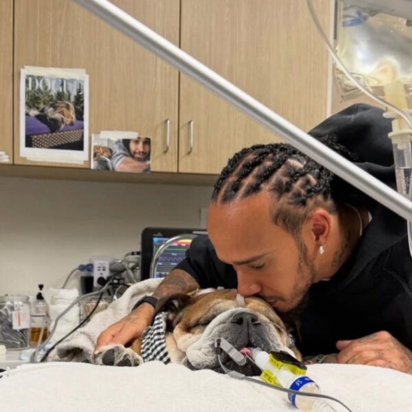 Lewis Hamilton’s Dog, Roscoe, In Coma, Fighting For Life in Hospital
