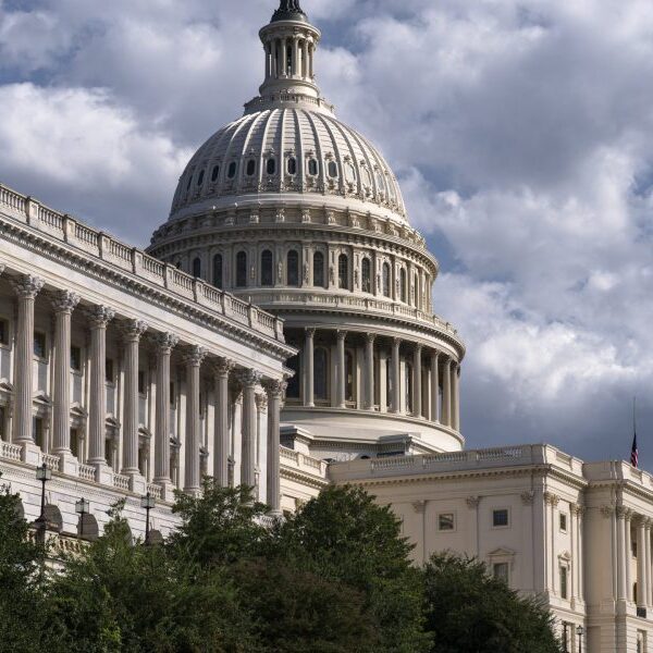 CBO slashes financial development forecast for 2025 as Trump tariffs warmth up…