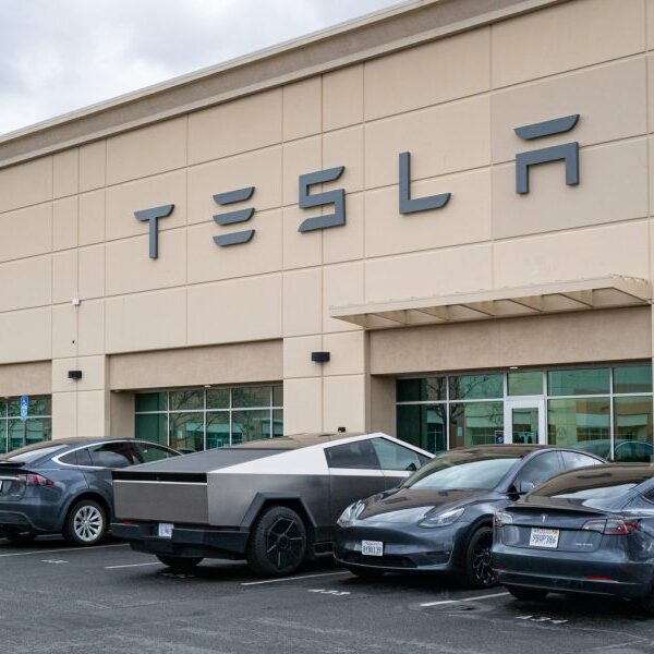 Tesla beneath investigation after dad and mom say defective door handles trapped…