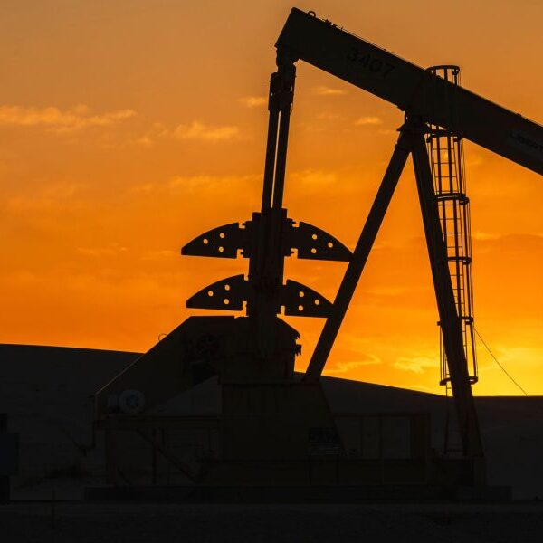 What oil CEOs actually take into consideration Trump’s administration of the oil…
