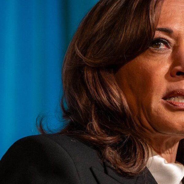 Kamala Harris endorses Zohran Mamdani with out saying his identify: ‘I assist…
