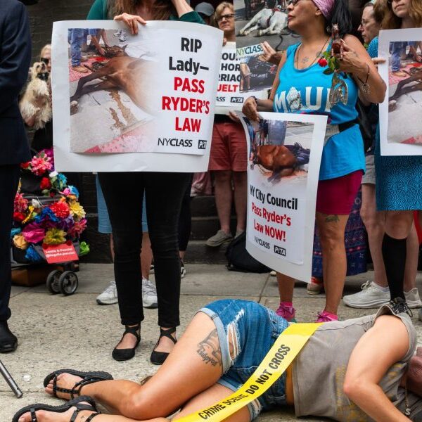 Eric Adams strikes to ban 150-year custom of horse-drawn carriages in Central…