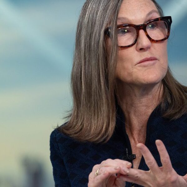 Cathie Wood says the AI race has already shrunk to the ‘Big…