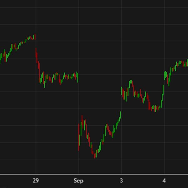 Stock markets cheer on price cuts. S&P 500 hits a report excessive