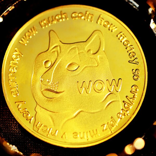 Amended S-1 Filed to Convert Dogecoin Trust into GDOG ETF