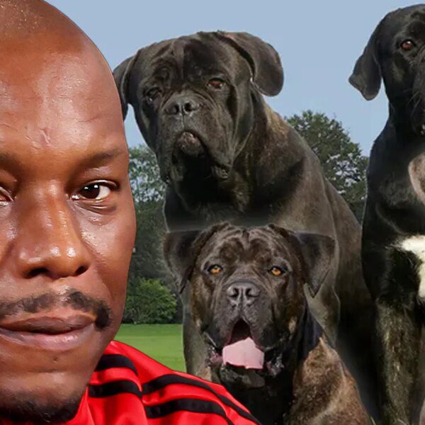 Cops Don’t Know Where His Killer Dogs Are