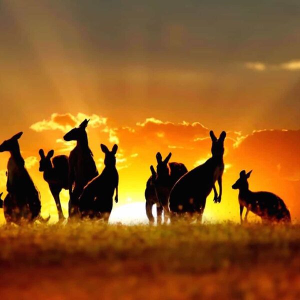 Crypto Exchanges Face Tough New Rules