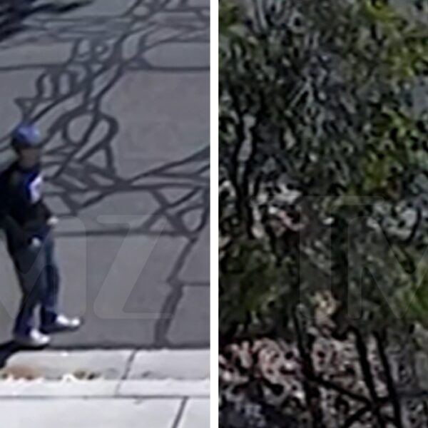 Person of Interest in Charlie Kirk Assassination Seen in New Shocking Video