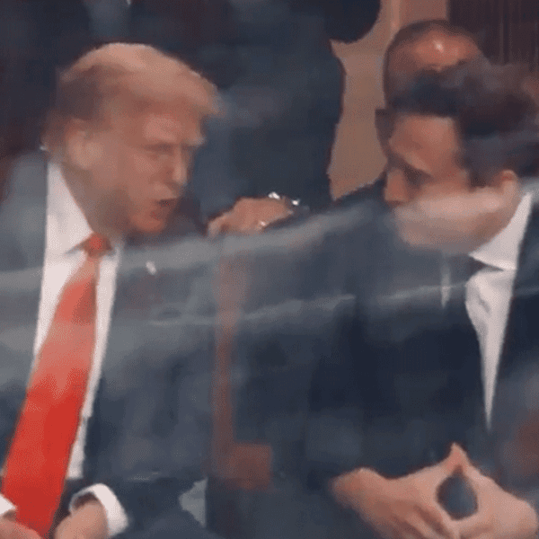 Elon Musk Sits With President Trump At Charlie Kirk Memorial, Squash Beef
