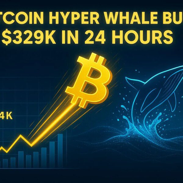 Bitcoin Reclaims $114K as Bulls Dominate & Whale Buys $329K Bitcoin Hyper…