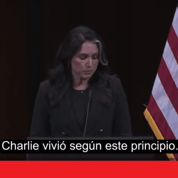 Tulsi Gabbard, on the Verge of Tears, Honors Charlie Kirk