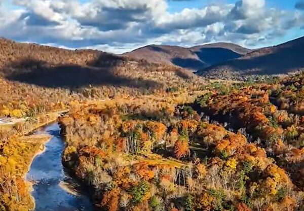 Four Hikers in New York’s Catskill Mountains Take Psychedelic Mushrooms, End Up…