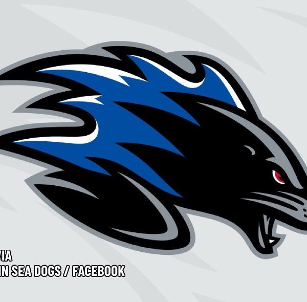 QMJHL’s Saint John Sea Dogs Won’t Have New Under Armour Jerseys In…