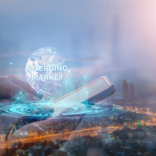 Shelton Emerging Markets Fund Q2 2025 Commentary (Mutual Fund:EMSQX)