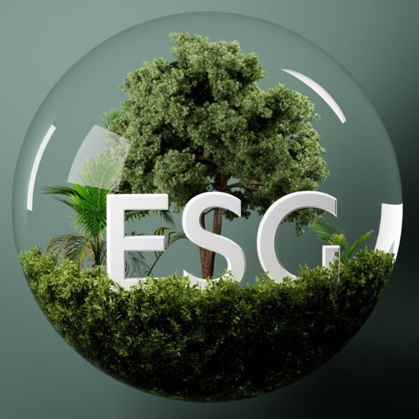 Invesco Floating Rate ESG Fund Q2 2025 Commentary (Mutual Fund:AFRAX)