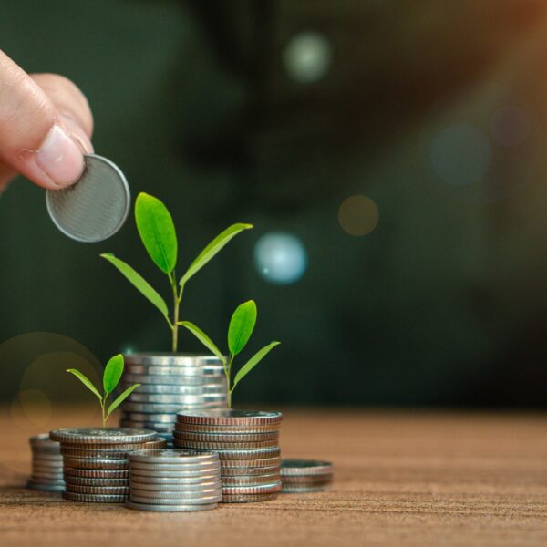 Embark Small Cap Equity Fund Q2 2025 Commentary (Mutual Fund:ESCQX)