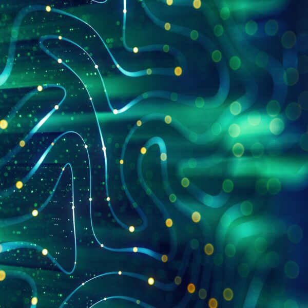 Super Micro Computer: Accounting Concerns Create Volatility, But AI Growth Story Is…