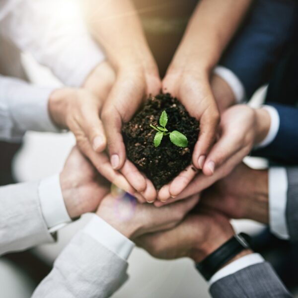 Harbor Small Cap Growth Fund Q2 2025 Commentary (Mutual Fund:HASGX)