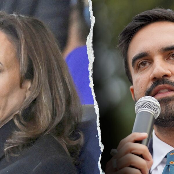 Kamala Harris provides lukewarm NYC mayor endorsement for Mamdani