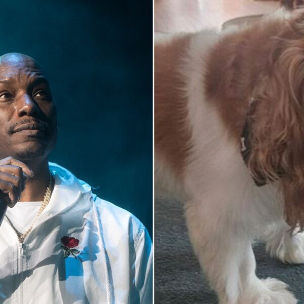 Tyrese Gibson arrest warrant issued after canines allegedly kill neighbor’s canine