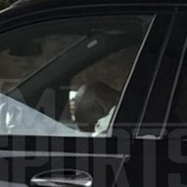 Adrian Peterson Asleep At Wheel Of Running Car Prior To Arrest