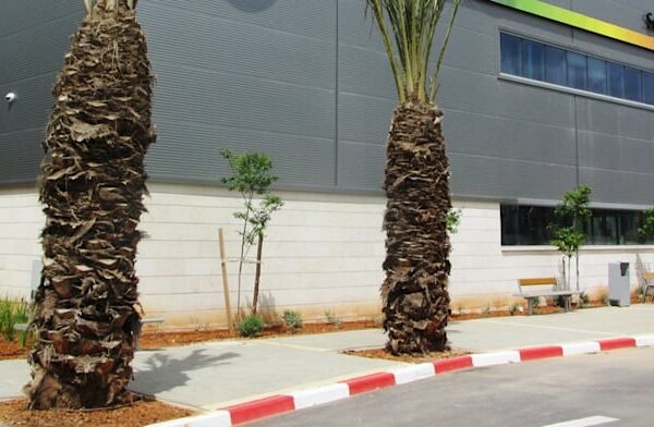 HP Israel to put off as much as 90 staff – Investorempires.com