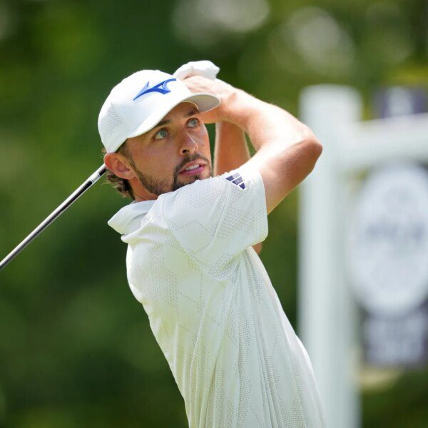 Bad profession transfer”; “Top expertise