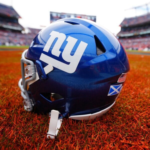 NFL approves 10% sale of Giants to Julia Koch and household