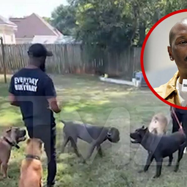 Tyrese Gibson’s Dogs Run Around Friend’s Backyard in New Video