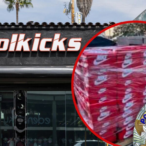 CoolKicks L.A. Raid Recovers $500K in Alleged Stolen Nike Items, LAPD Reports