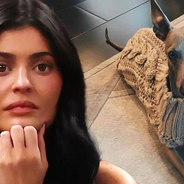 Kylie Jenner Announces Her Beloved Dog Norman Has Died