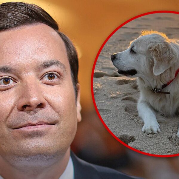 Jimmy Fallon Announces Death of Family Dog Gary