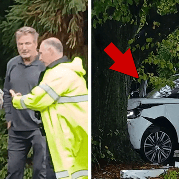 Alec and Stephen Baldwin Plow Their Range Rover right into a Tree,…
