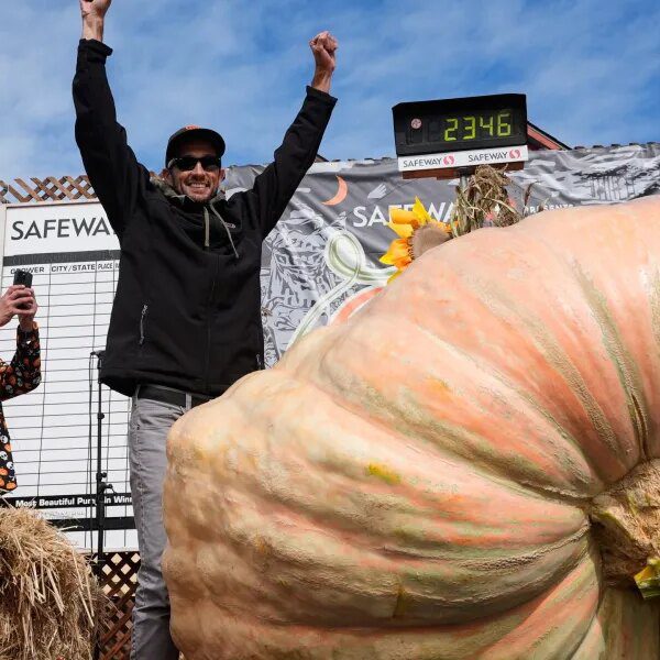 Northern California EV engineer has a passion rising huge pumpkins and his…