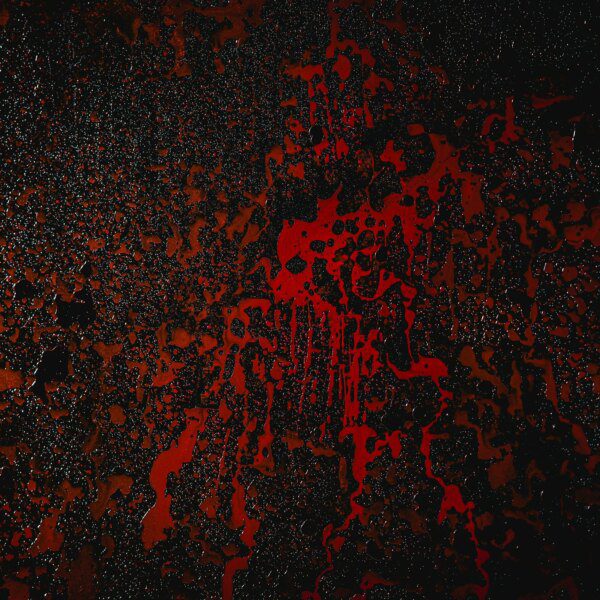 Bitcoin And XRP Are Testing Key Resistances And Could Turn Bloody Again,…