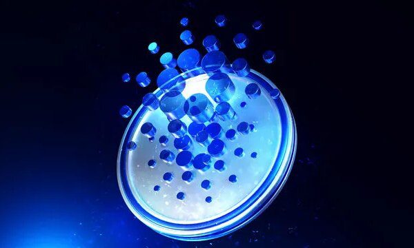 Cardano-XRP Partnership Coming? New Entrant Into The MiCA Crypto Alliance Co-Founded By…