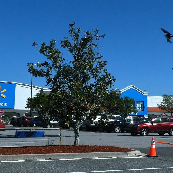 Walmart now plans to convey drone deliveries to ‘most areas that we…