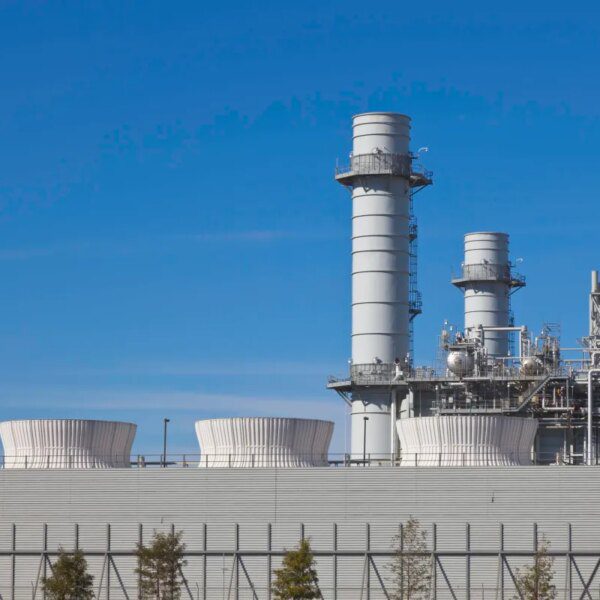 Google’s bets on carbon seize energy crops, which have a combined file