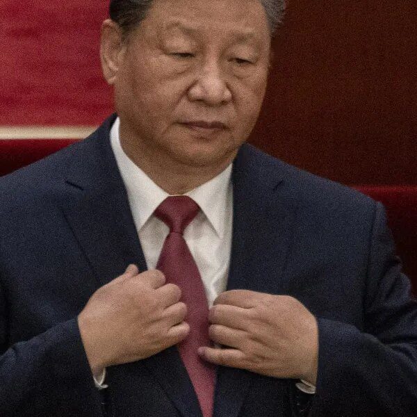 China’s uncommon earth coverage can ‘forbid any nation on Earth from taking…