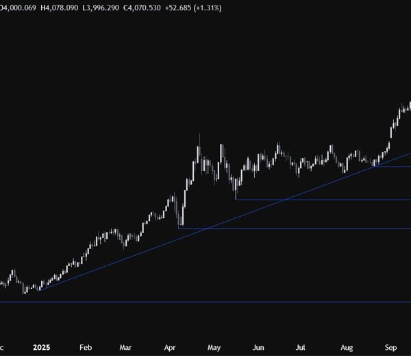 Gold stretches into a brand new all-time excessive regardless of the optimistic…