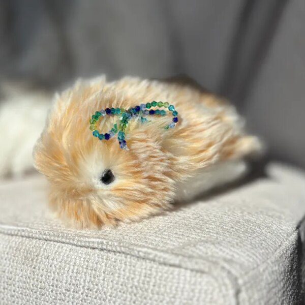 I spent a month residing with a $430 AI pet, the Casio…